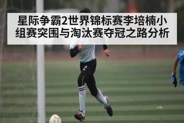星际争霸2世界锦标赛李培楠小组赛突围与淘汰赛夺冠之路分析